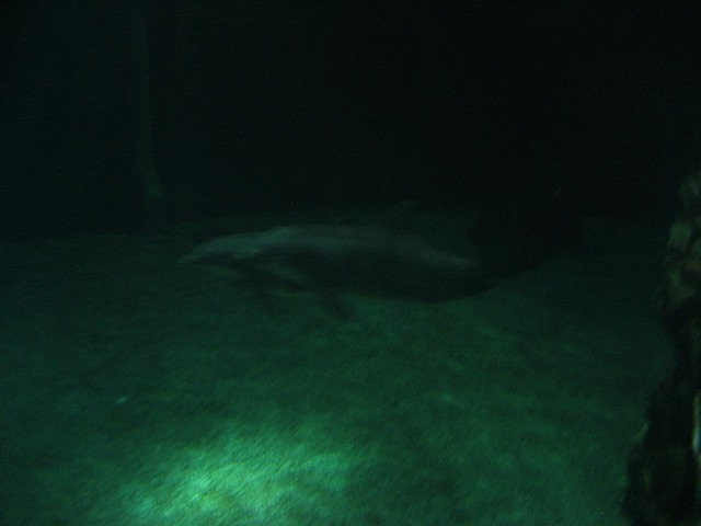 08Christmas121308_01