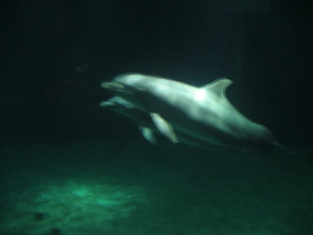 08Christmas121308_02