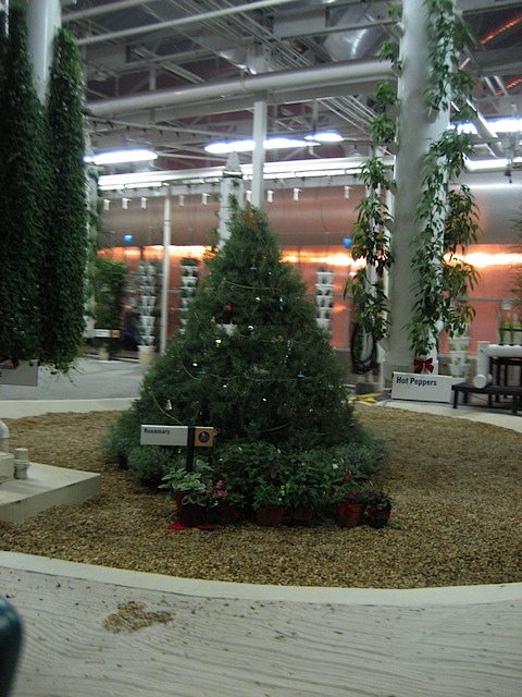 08Christmas121308_04