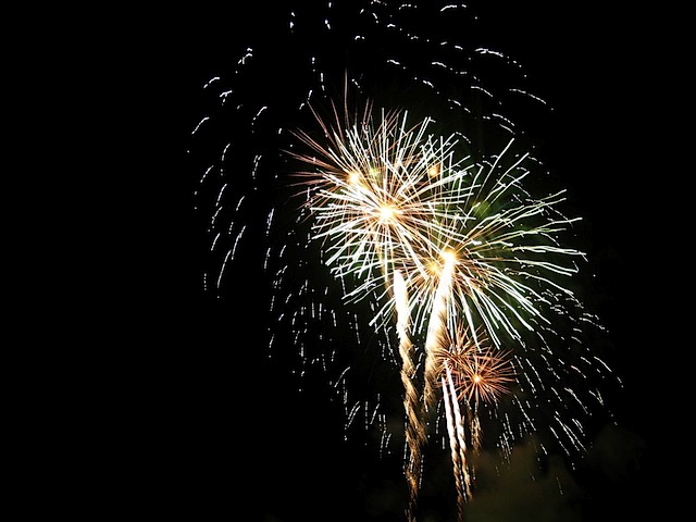 08Christmas121908_19